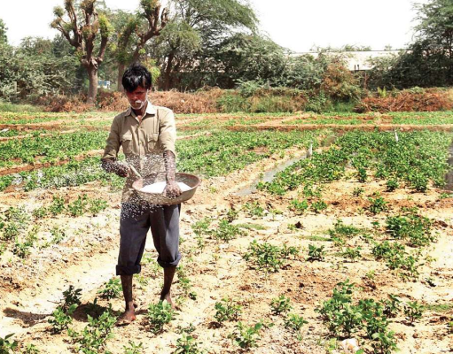 Farming & Feeding